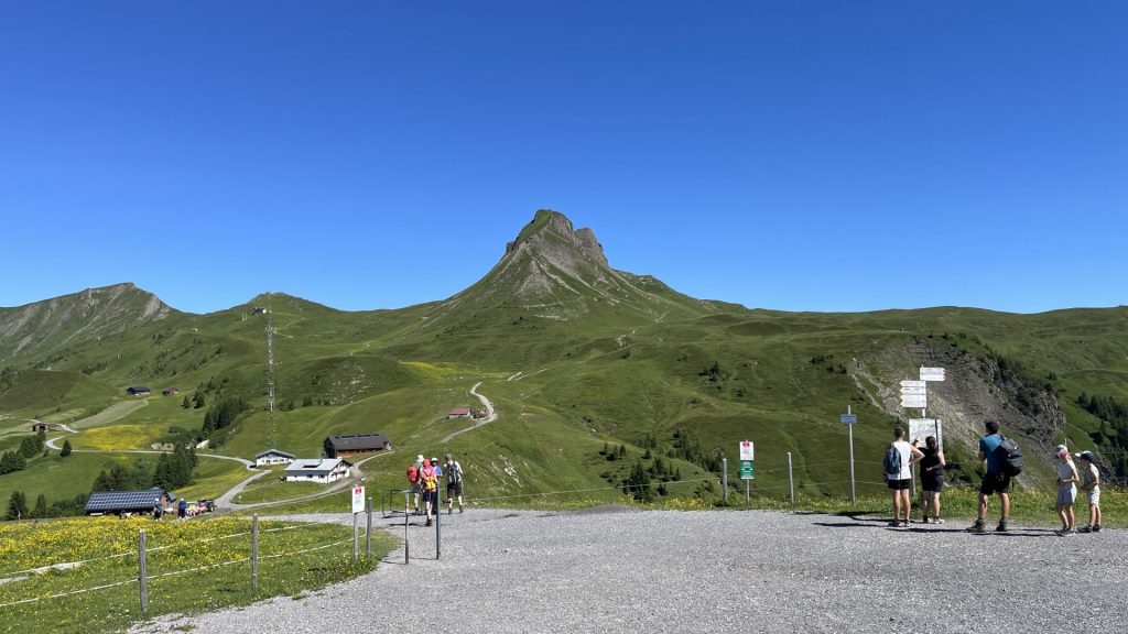 Alp mit dem Berg Mittagsspitze im Hintergrund