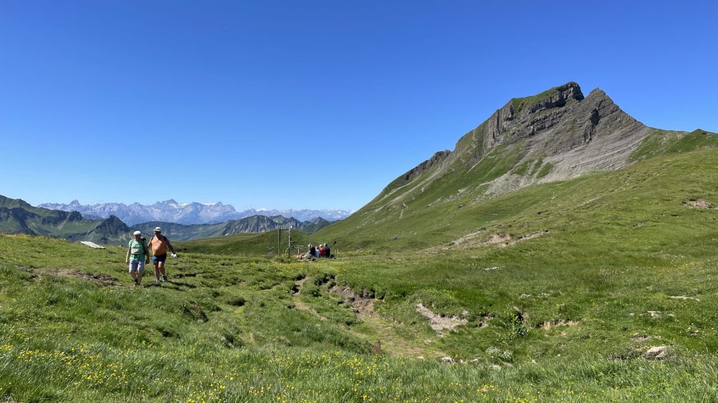 Almlandschaft mit Berg aus anderer Sicht
