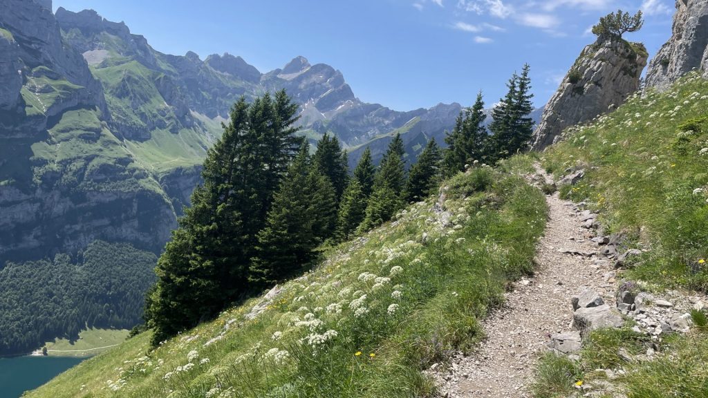 ähnlicher Blick - Weg, Bäume, Felsen