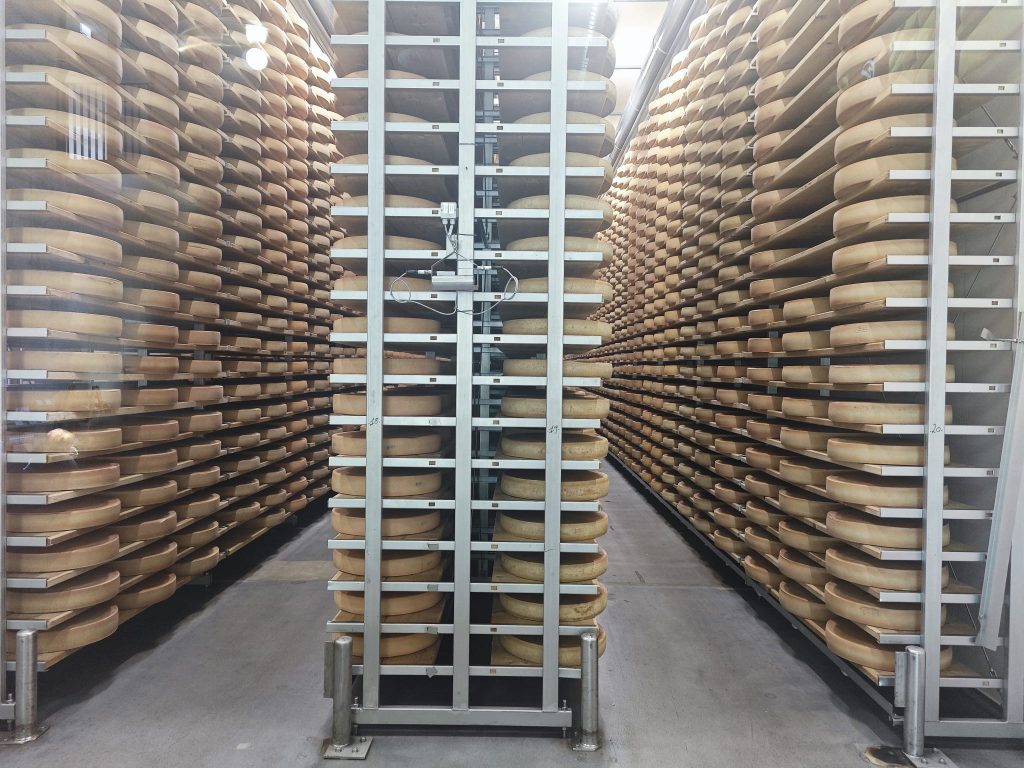 innen - tausende Käse in Hochregalen hinter einer Glaswand