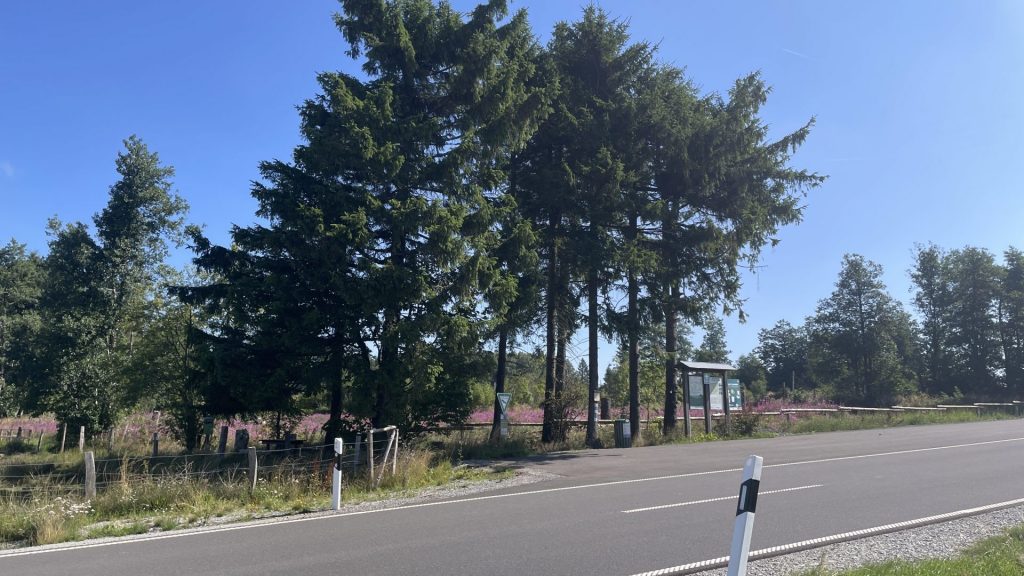 Straße mit Baumguppe im Hintergrund