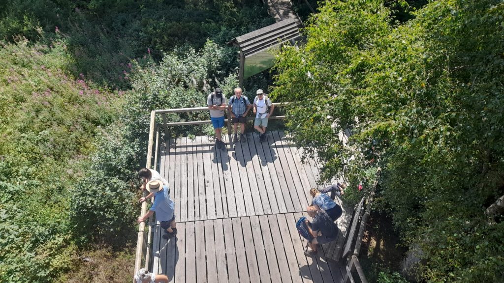 Wandergruppe von oben (vom Aussichtspunkt am Roten Moor fotografiert)