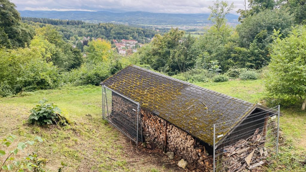 Holz in einer Hütte an der Burgruine